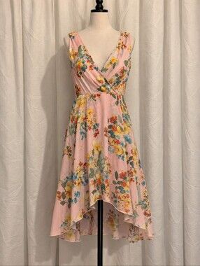 Stella & Julie Floral Striped High Low Fit & Flare Dress Size 4